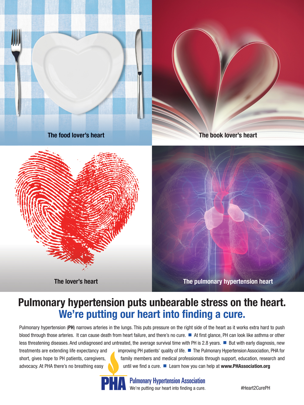 A poster with different pictures of heart and blood vessels.